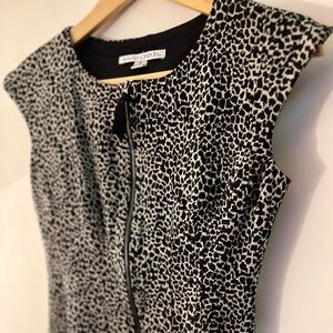 Maggy London Black and Beige Leopard Print Dress 2